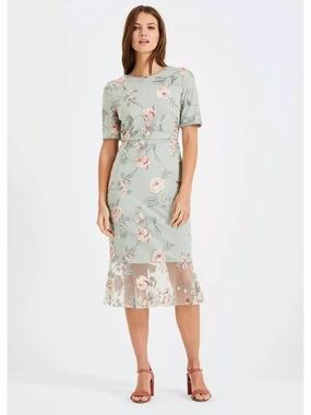 Phase Eight Alissa Embroidered Dress